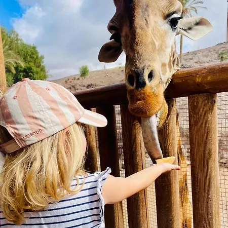 Fewo Holidaybox Fuerteventura